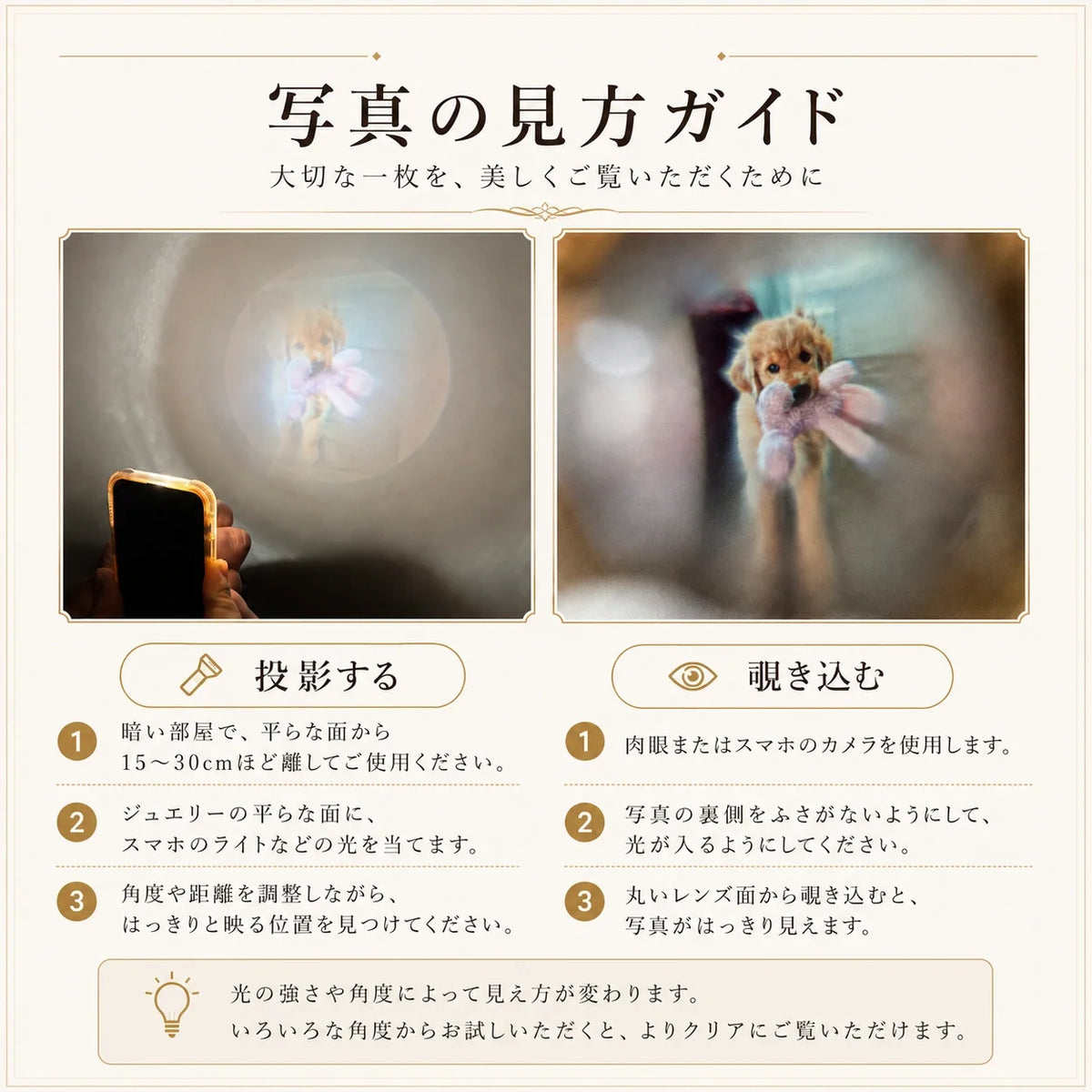 写真の見方ガイド