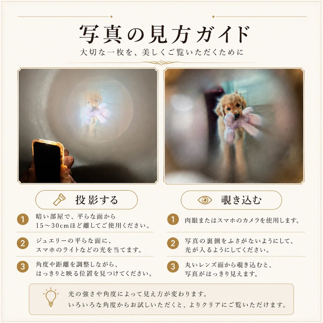 写真の見方ガイド