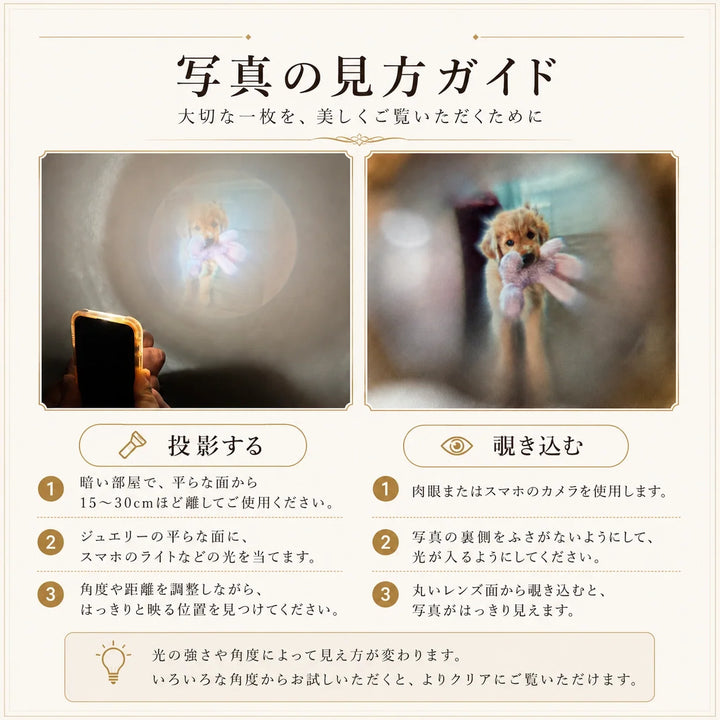 写真の見方ガイド